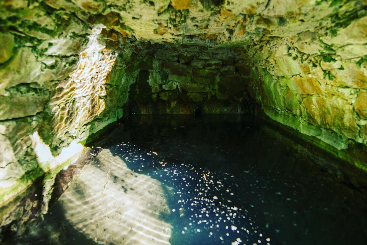 Вода из этого родника — живая