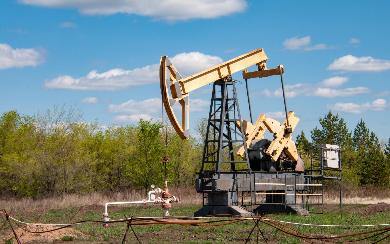 Фото:Svetlana Vozmilova / Global Look Press