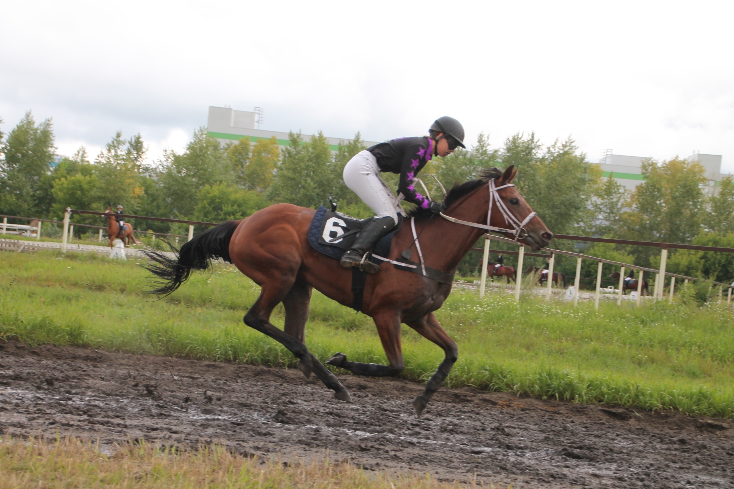 Фото: Ольга Дерюшева