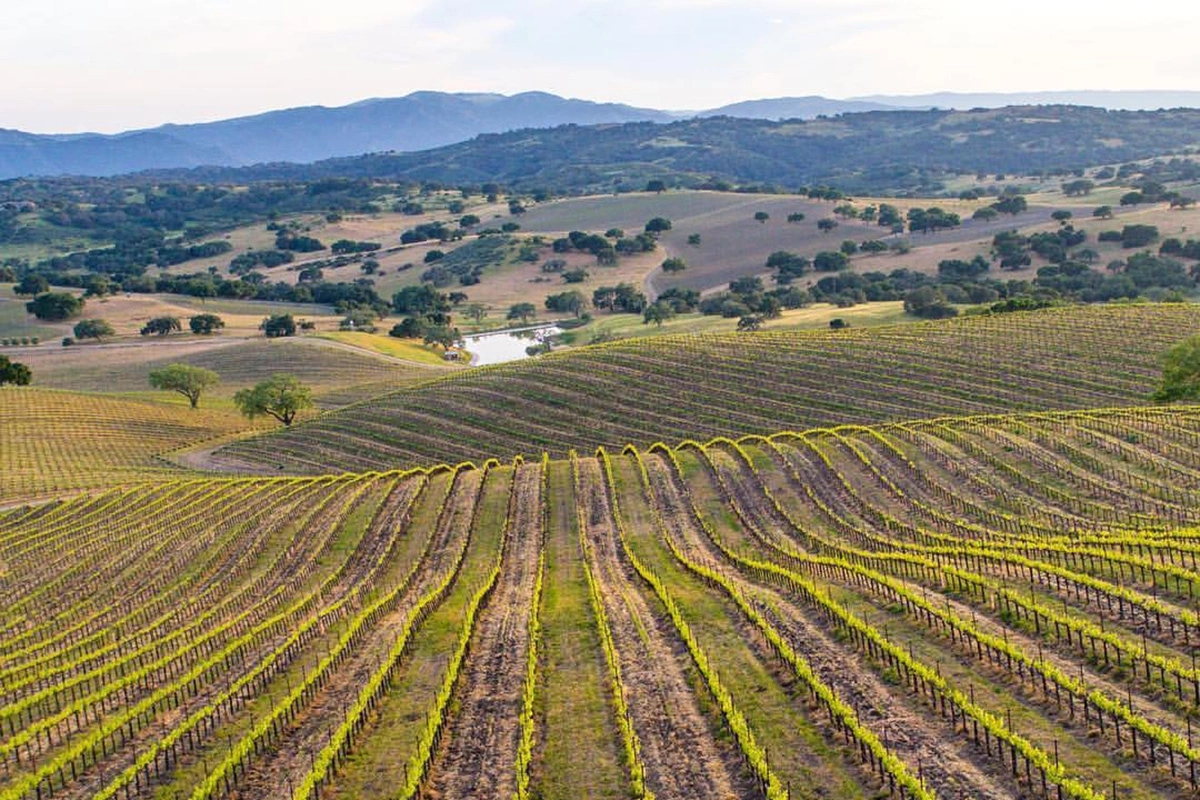 Ballard Canyon AVA