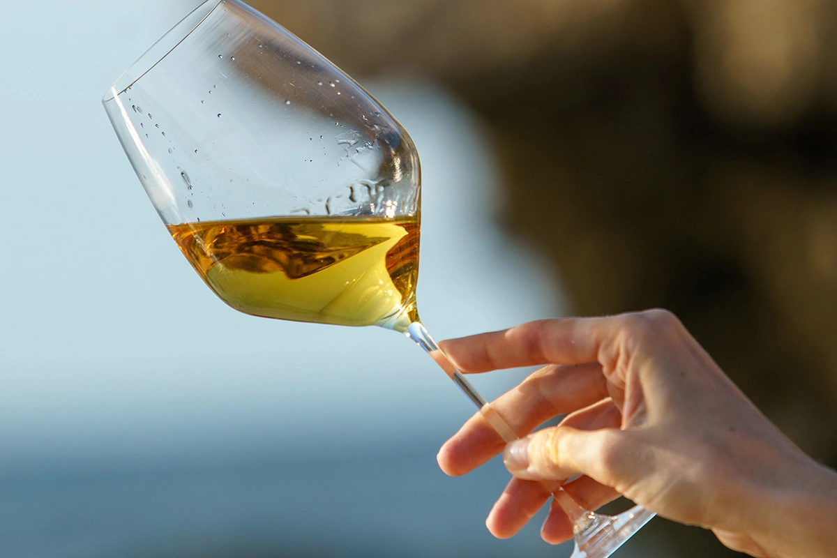 От виноградника до полки: как Luding Group и Olymp Winery создают вино
