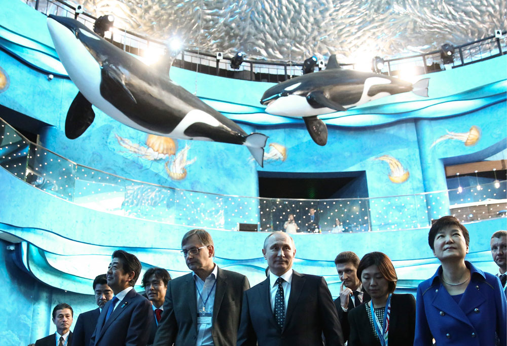 Президент РФ Владимир Путин посетил Приморский океанариум. Инициатива его создания принадлежала российскоиу президенту