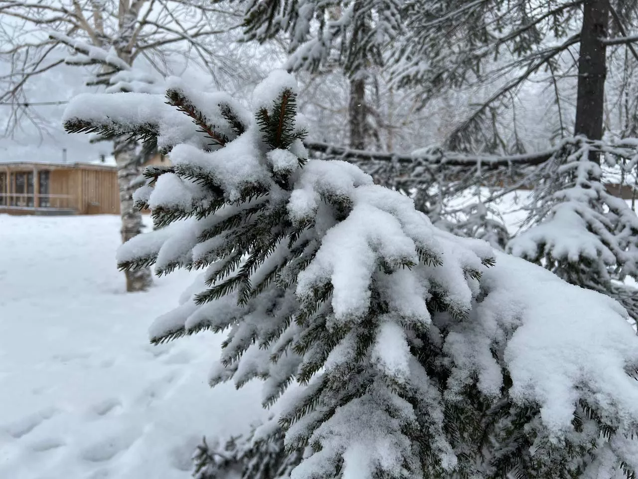 РБК Приморье