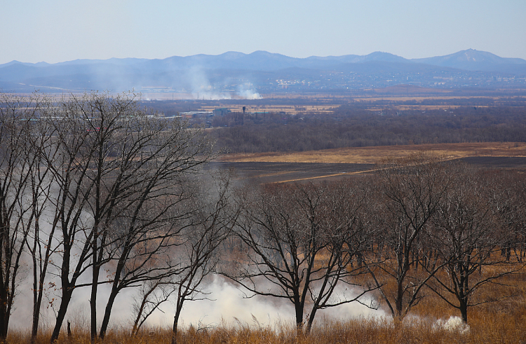 Правительство Приморского края