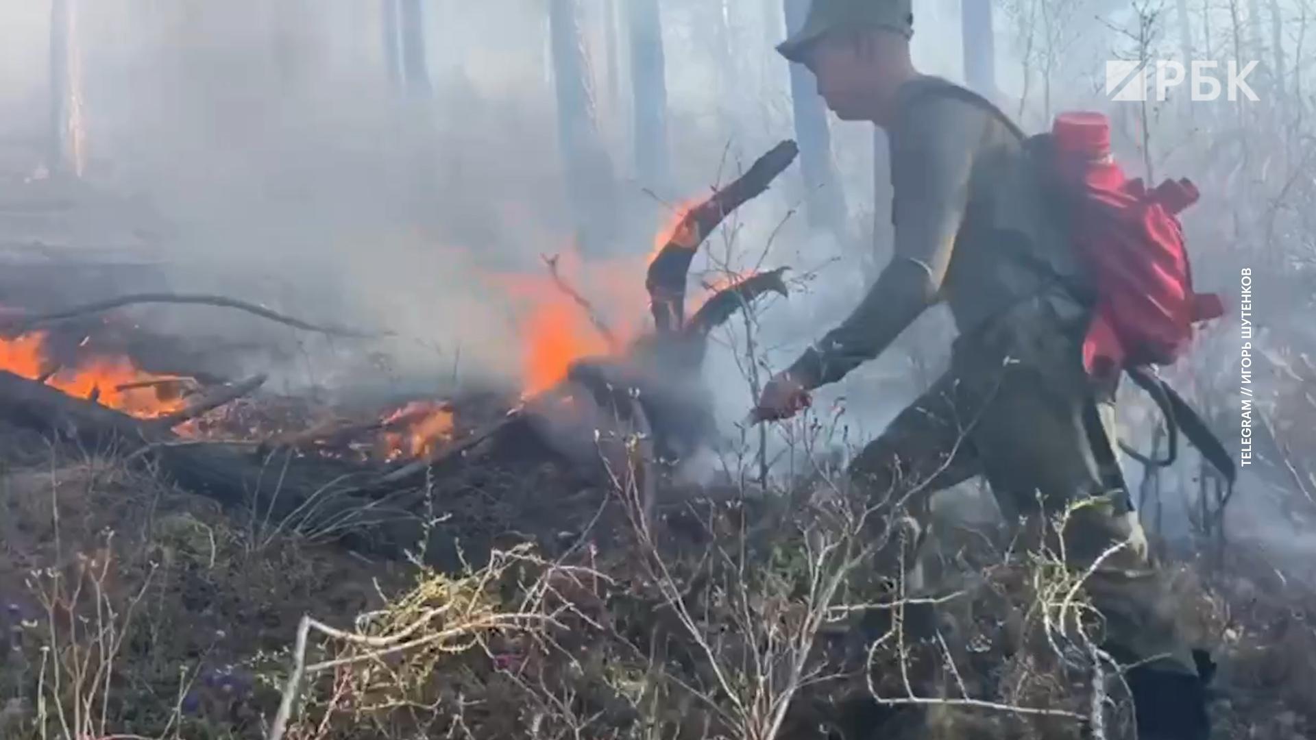 В Улан-Удэ ввели режим ЧС из-за лесного пожара рядом с городом