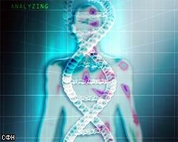 Ученые подсчитали количество генов в геноме человека