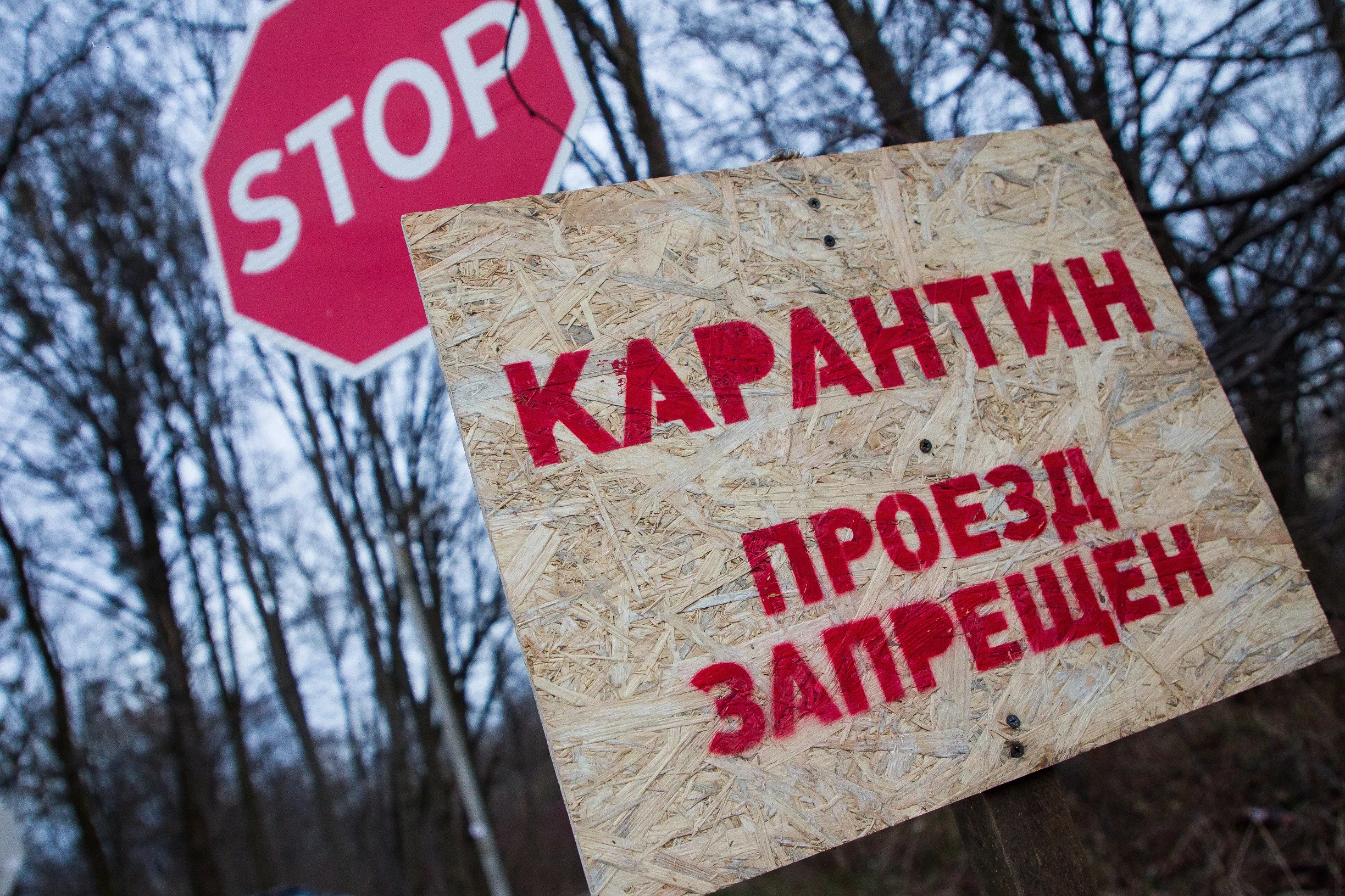 Александр Подгорчук