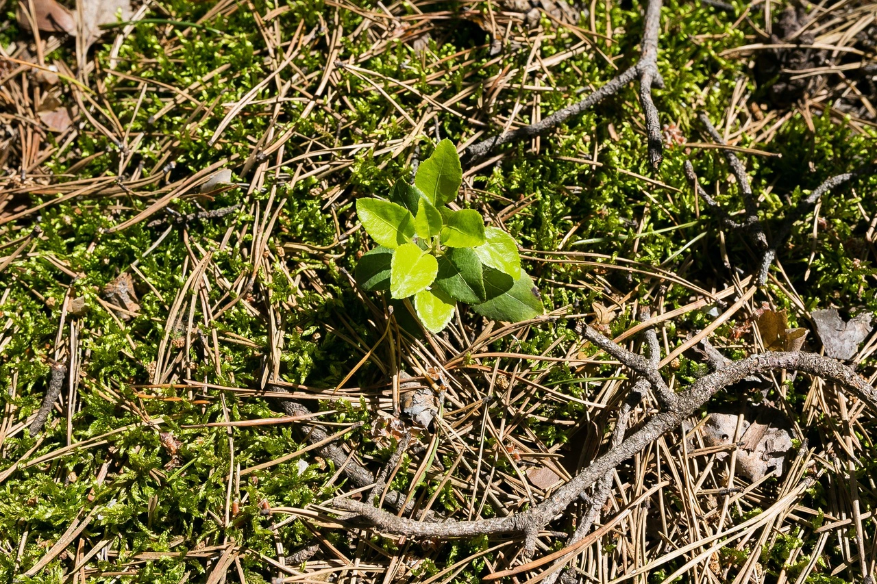 Денис Моргунов / РИА URA.RU