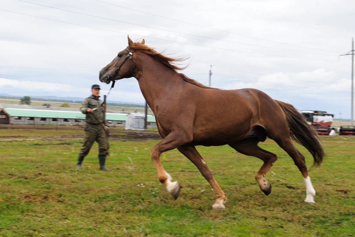 Вадим Ахметов / URA.RU 