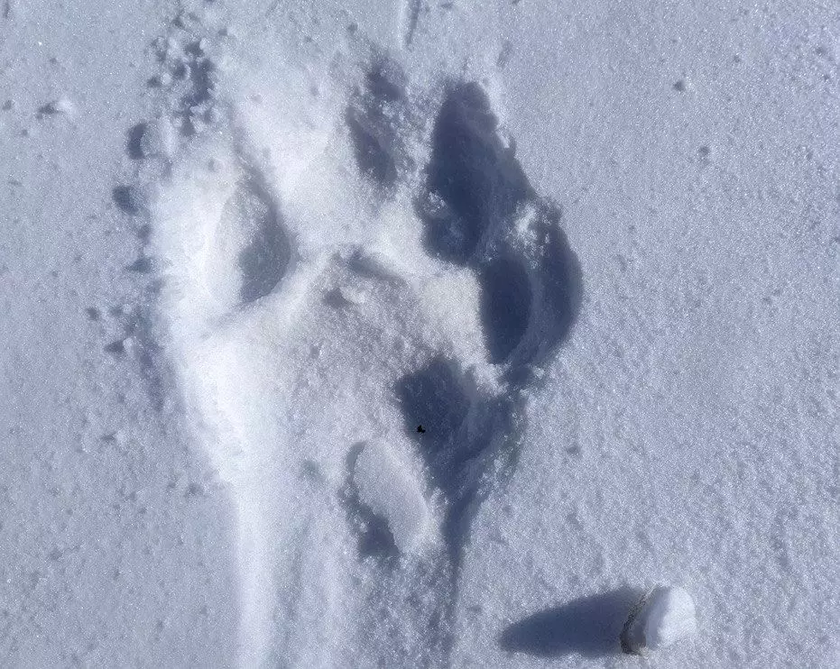 РБК Приморье