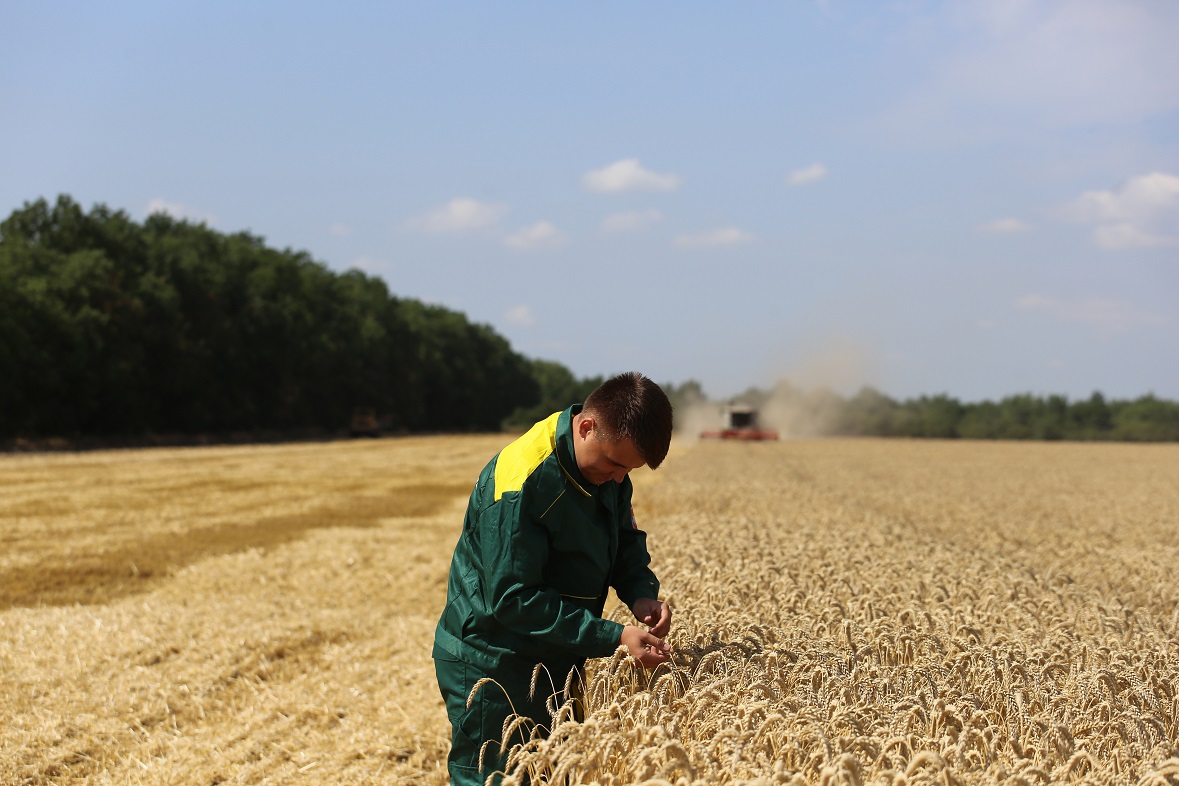 Фото: пресс-служба КубГАУ