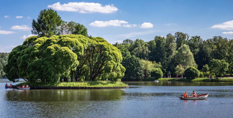 Фото: Laborant / Shutterstock / Fotodom