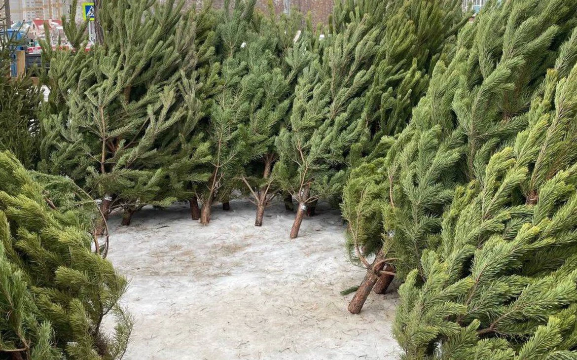 Администрация города Омска