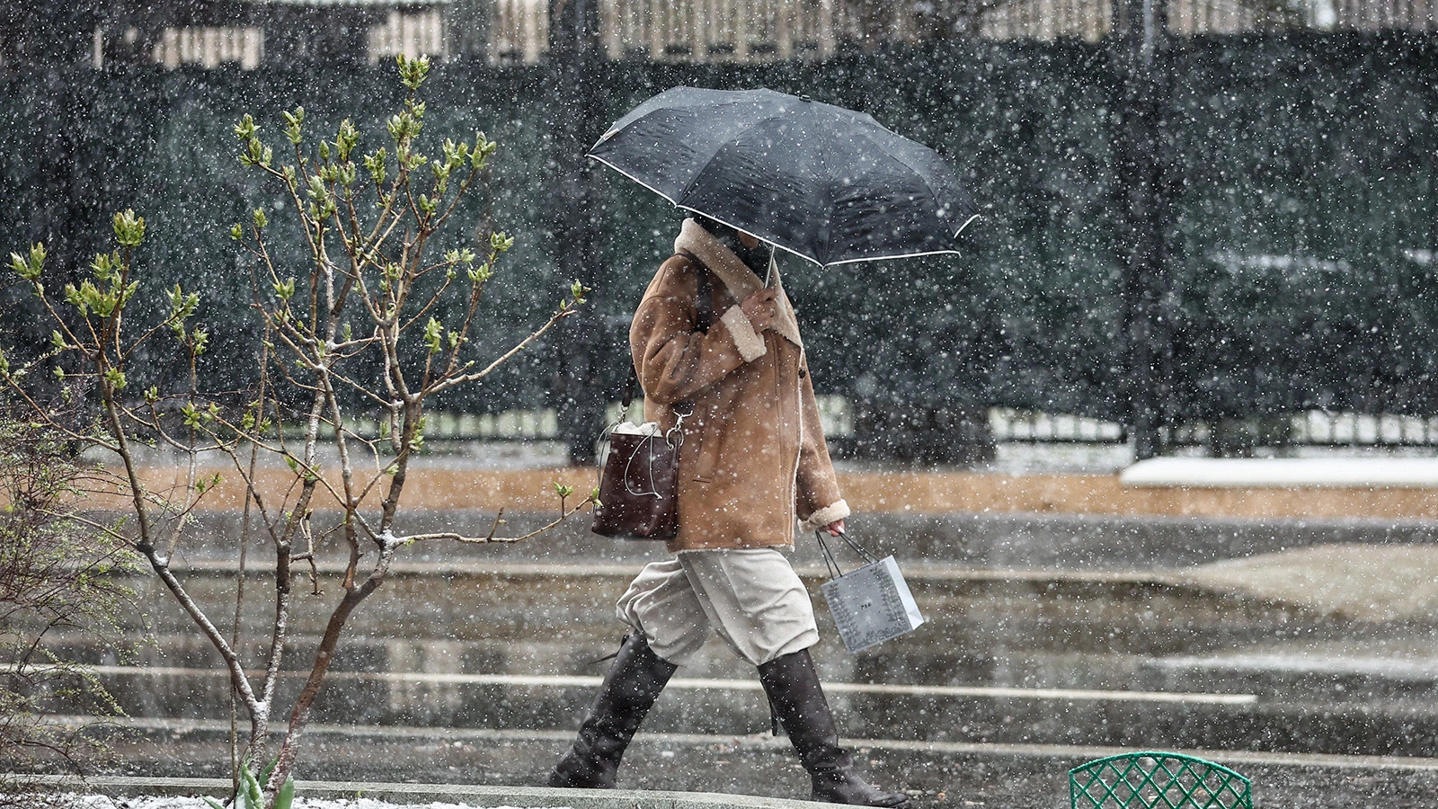 В Москве скоро выпадет снег. Начинаем готовиться к непогоде