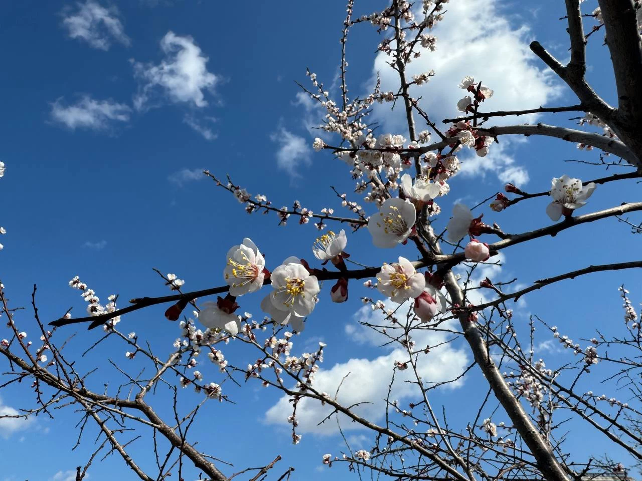 РБК Приморье