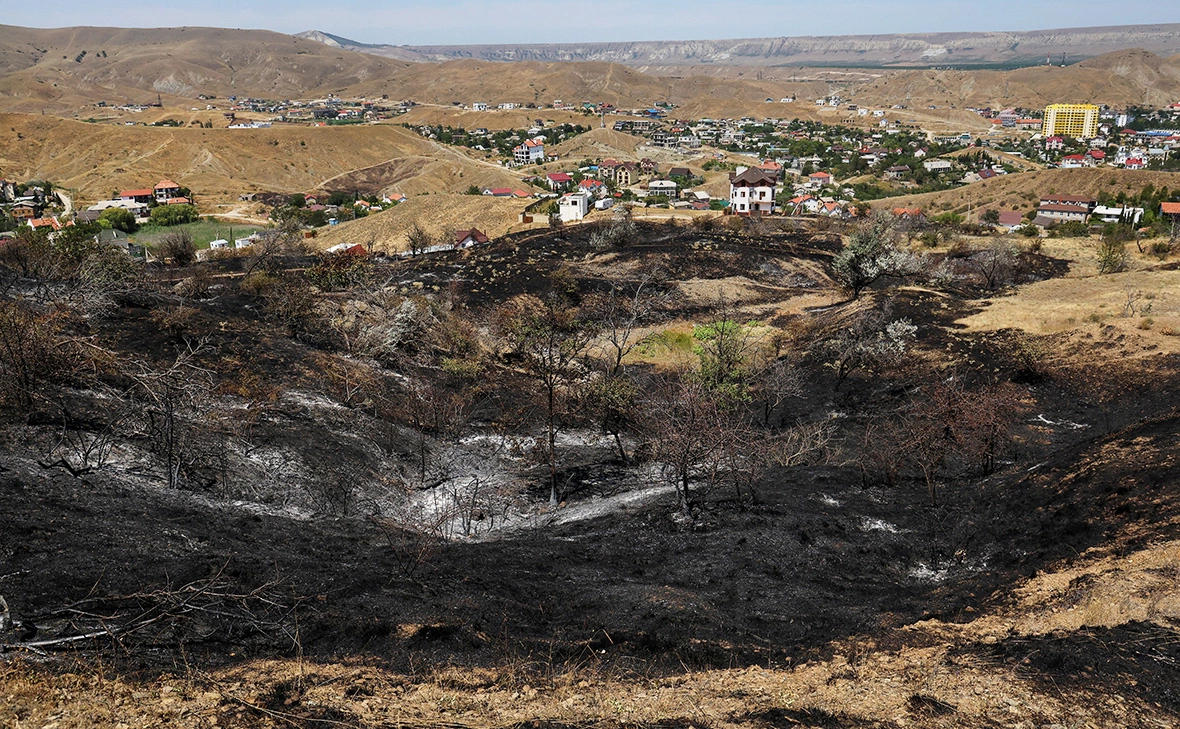 Алексей Павлишак / Reuters