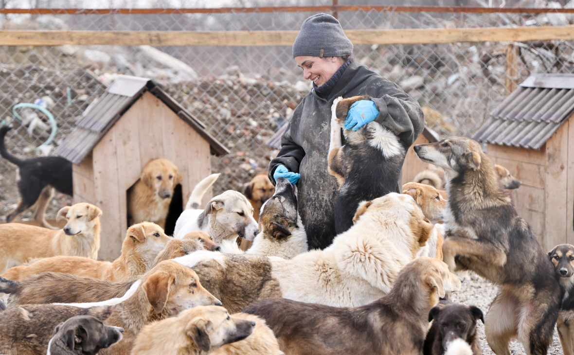 Елена Афонина / ТАСС