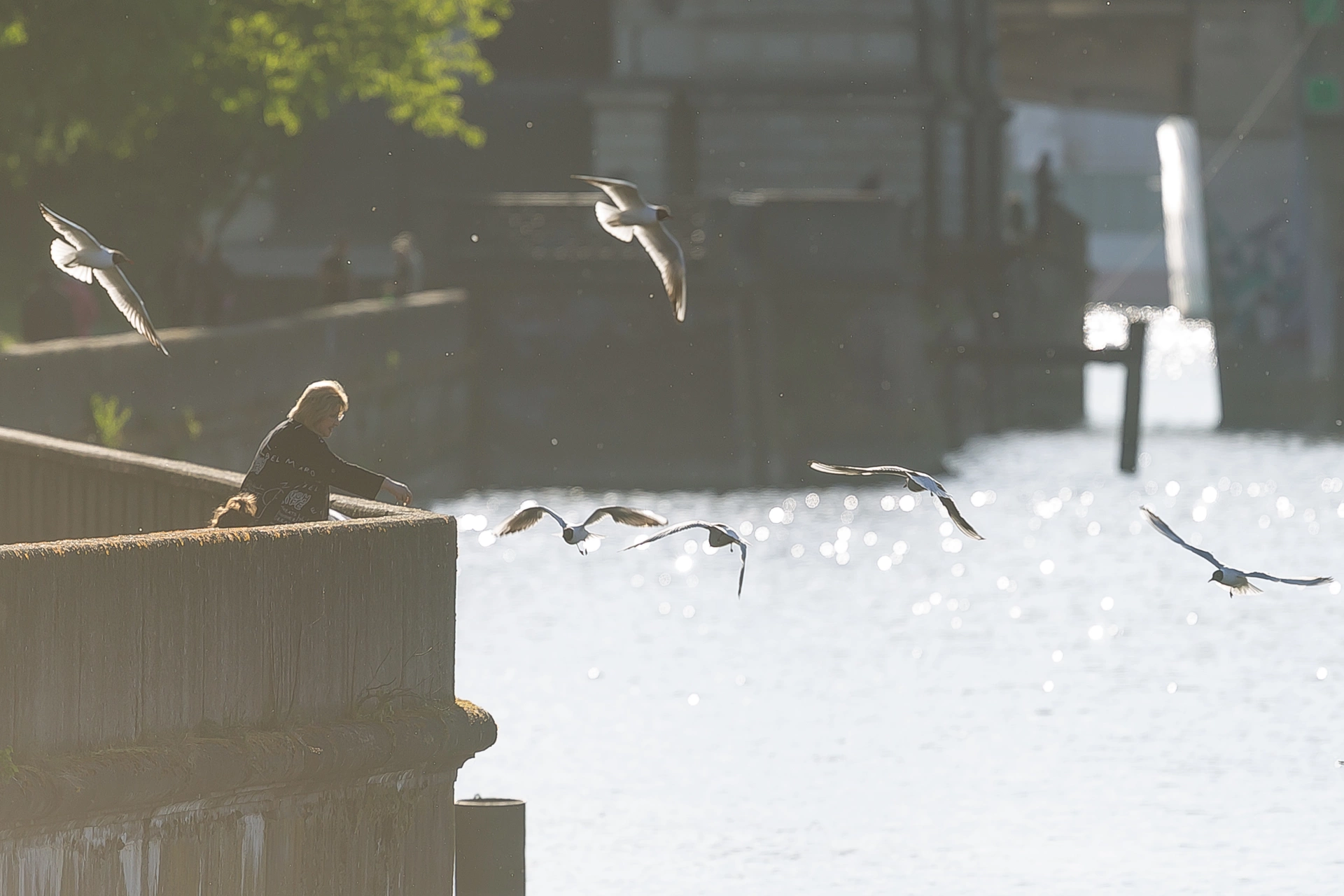 Александр Подгорчук