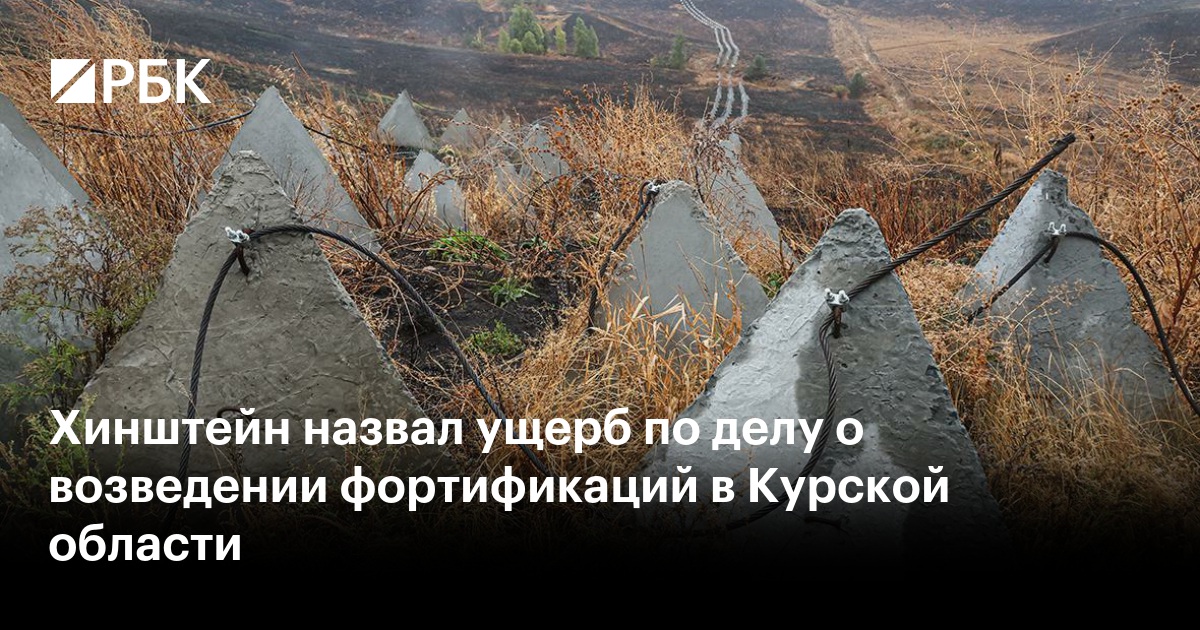 Хинштейн назвал ущерб по делу о возведении фортификаций в Курской области