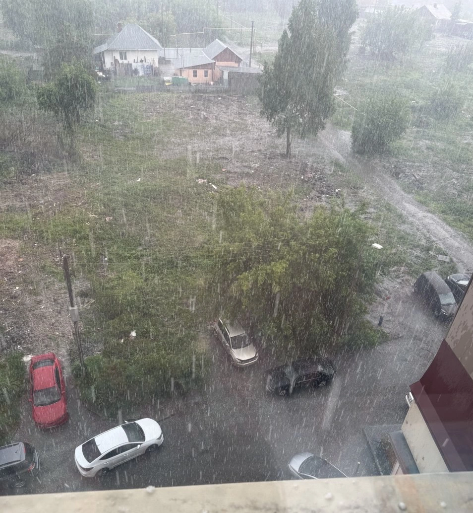 РБК Новосибирск