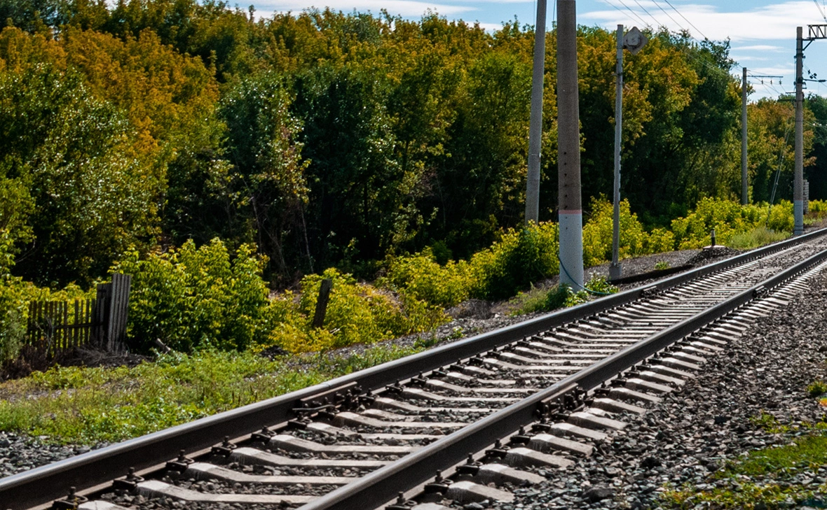 Светлана Возмилова / Global Look Press