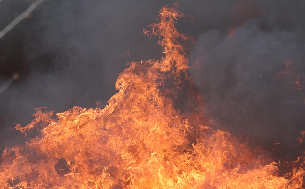 Фото: Сергей Петров / NEWS.ru / Global Look Press