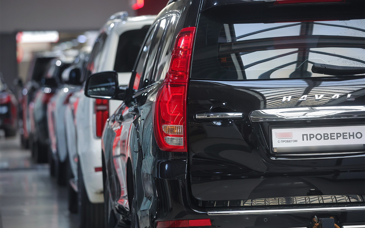 Фото: Shatokhina Natalia / NEWS.ru / Global Look Press