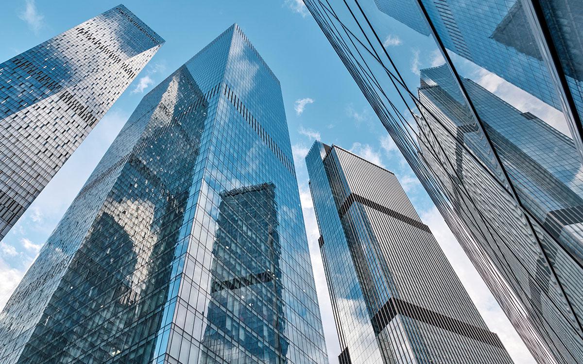 Фото: Irina Kononova / Shutterstock / FOTODOM