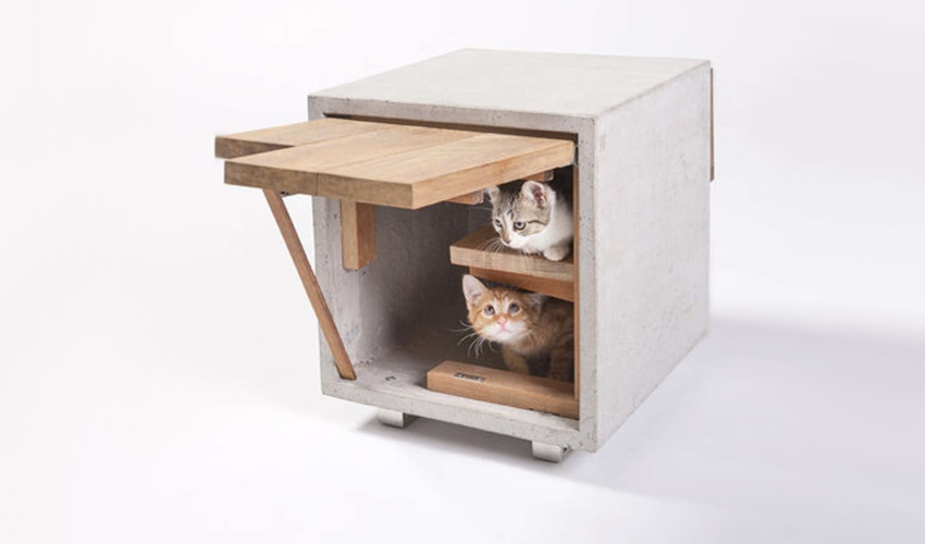 Кошкин дом: 16 дизайнерских идей для домашних любимцев
