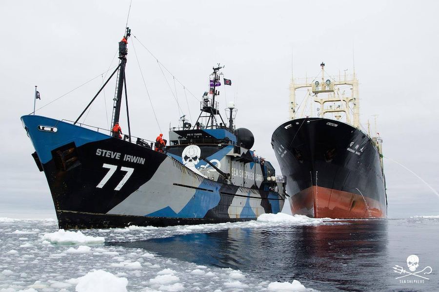 Судно Sea Shepherd Steve Irwin против японского китобойного судна