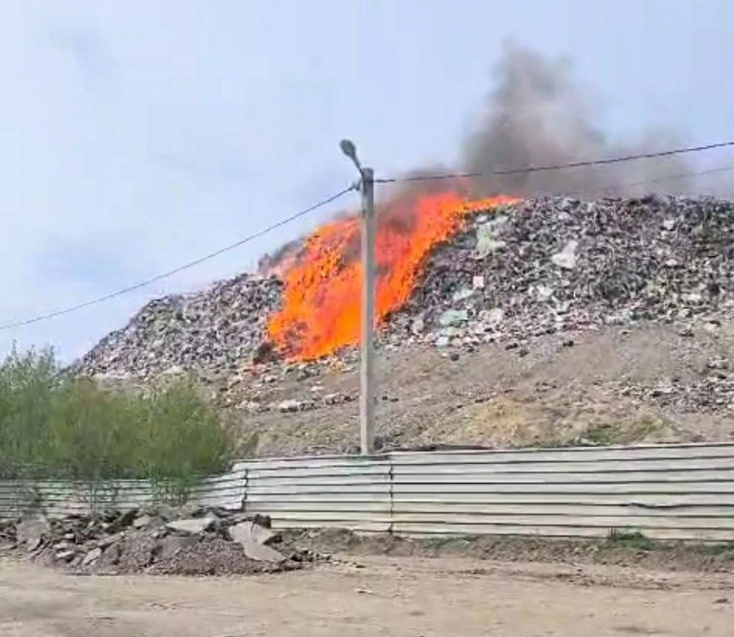 Telegram-канал мэра Новосибирска Максима Кудрявцева