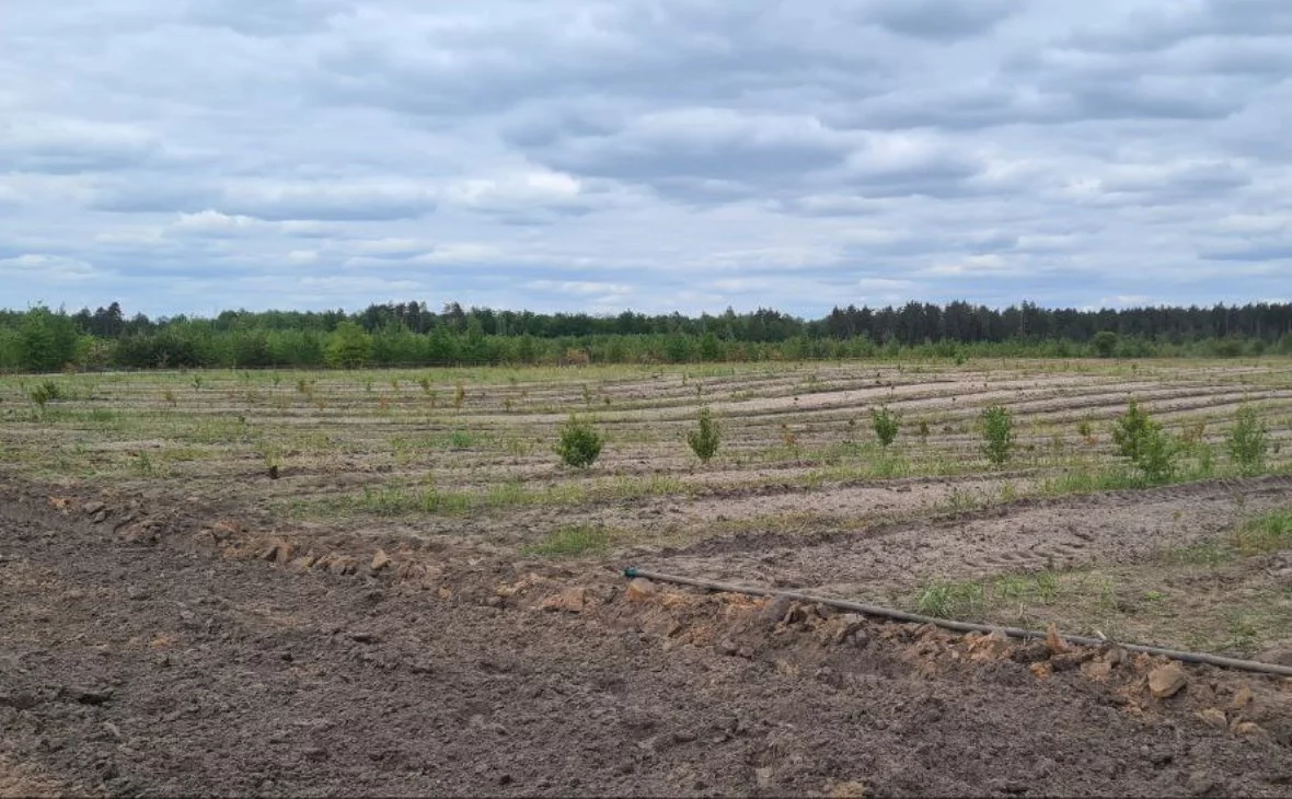 РБК Черноземье