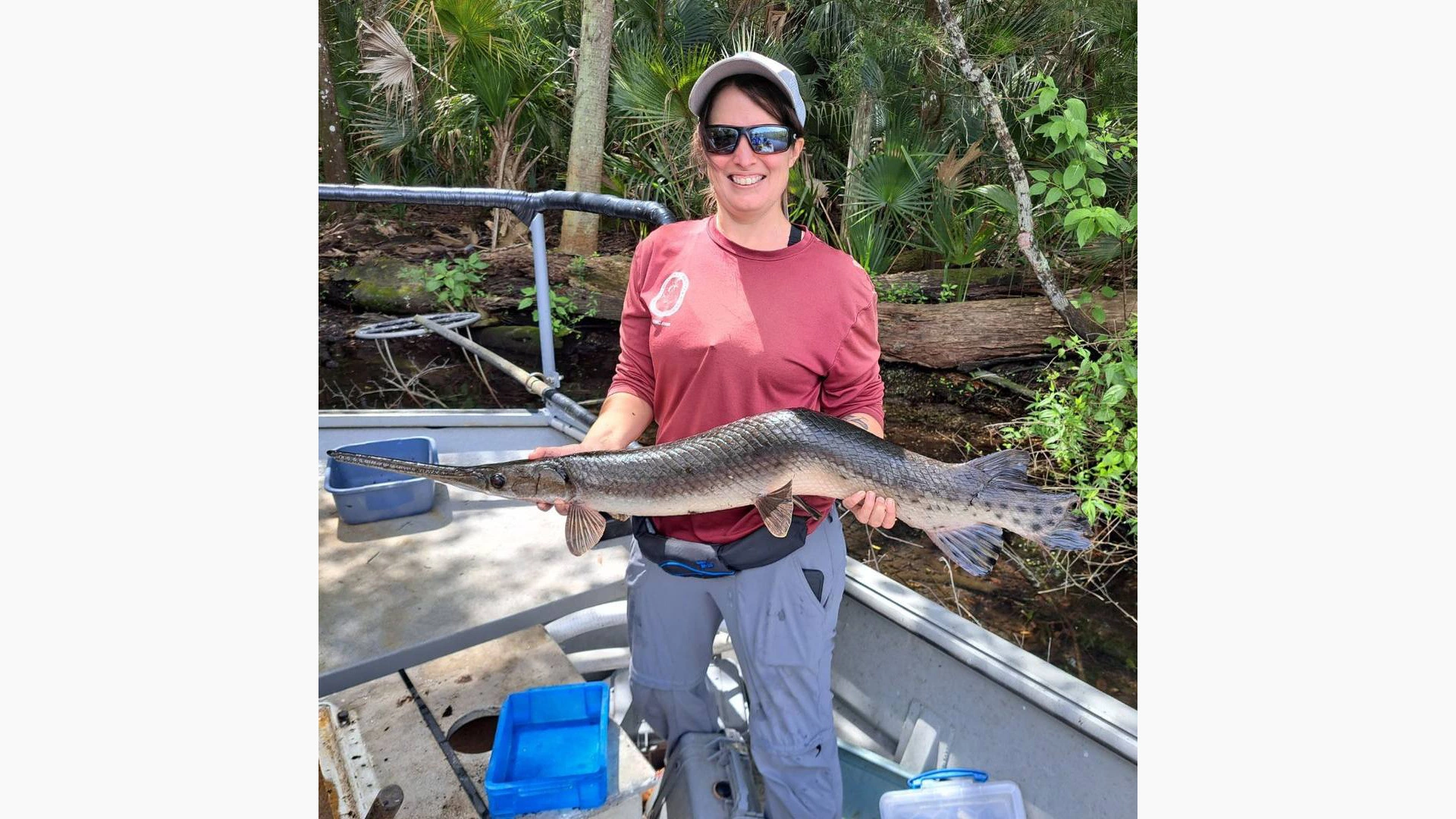 FWC Fish and Wildlife Research Institute / Facebook (входит в корпорацию Meta, признана экстремистской и запрещена в России)