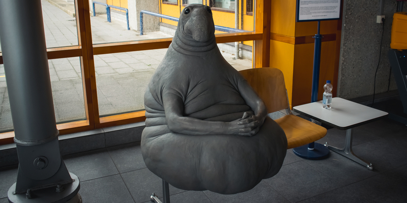 Фото: Shutterstock