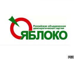 "Яблочников" задержали за пикет у Госдумы против допполномочий ФСБ