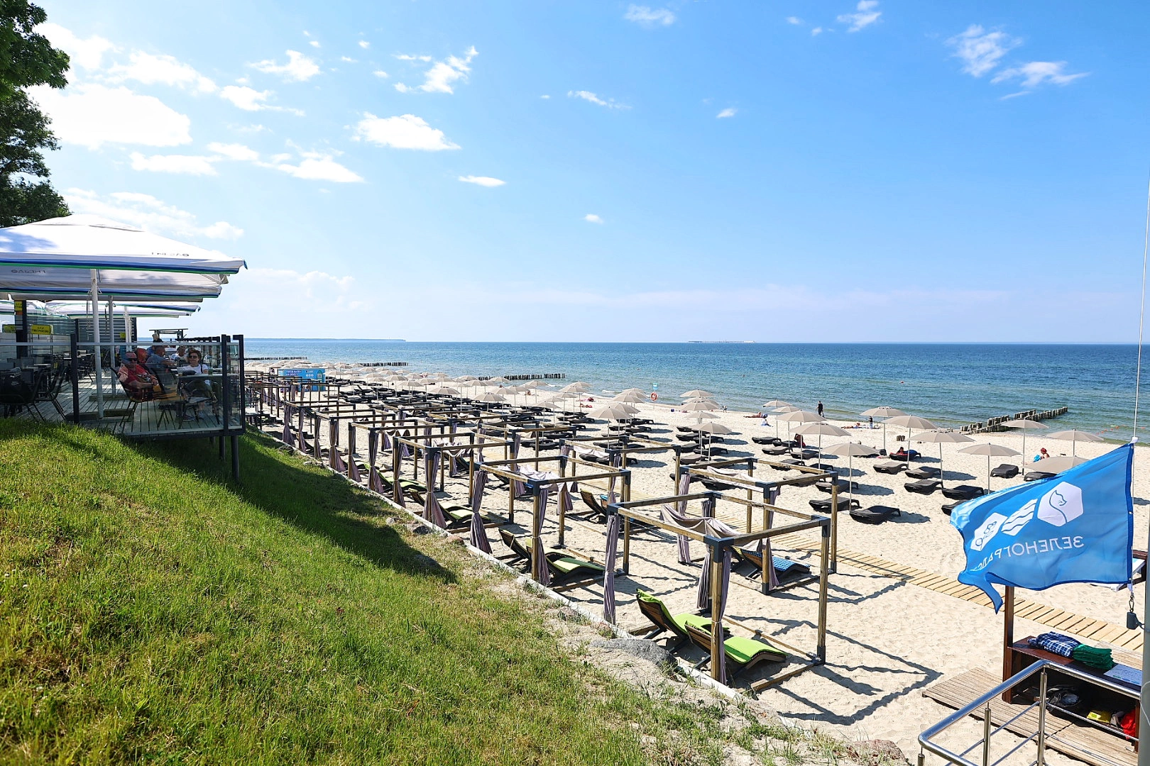 Александр Подгорчук