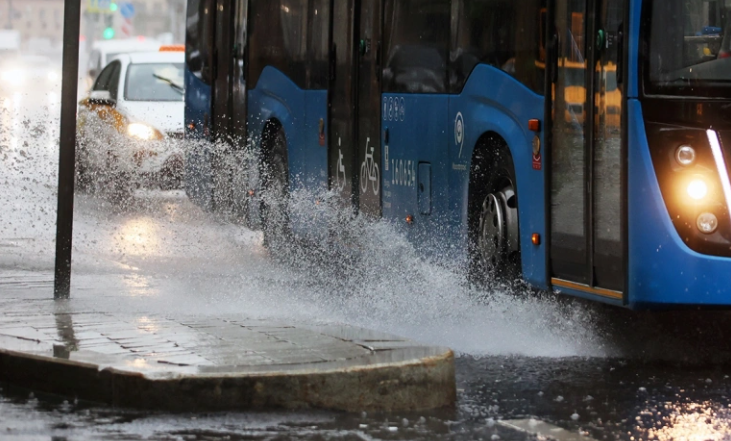 Фото: Виталий Белоусов / РИА Новости
