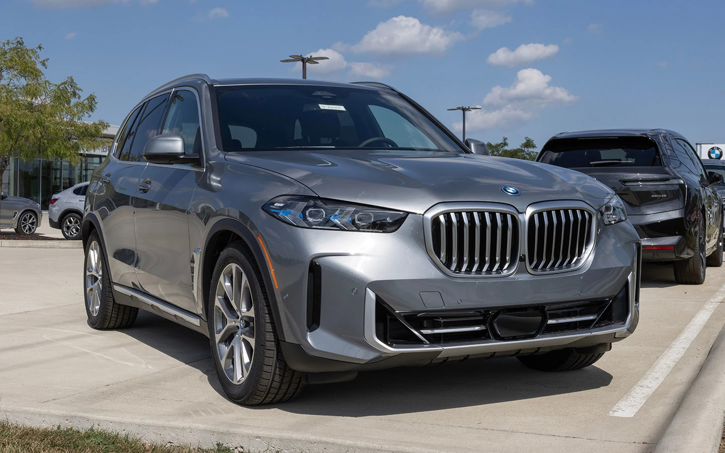 Фото: Jonathan Weiss / Shutterstock / FOTODOM