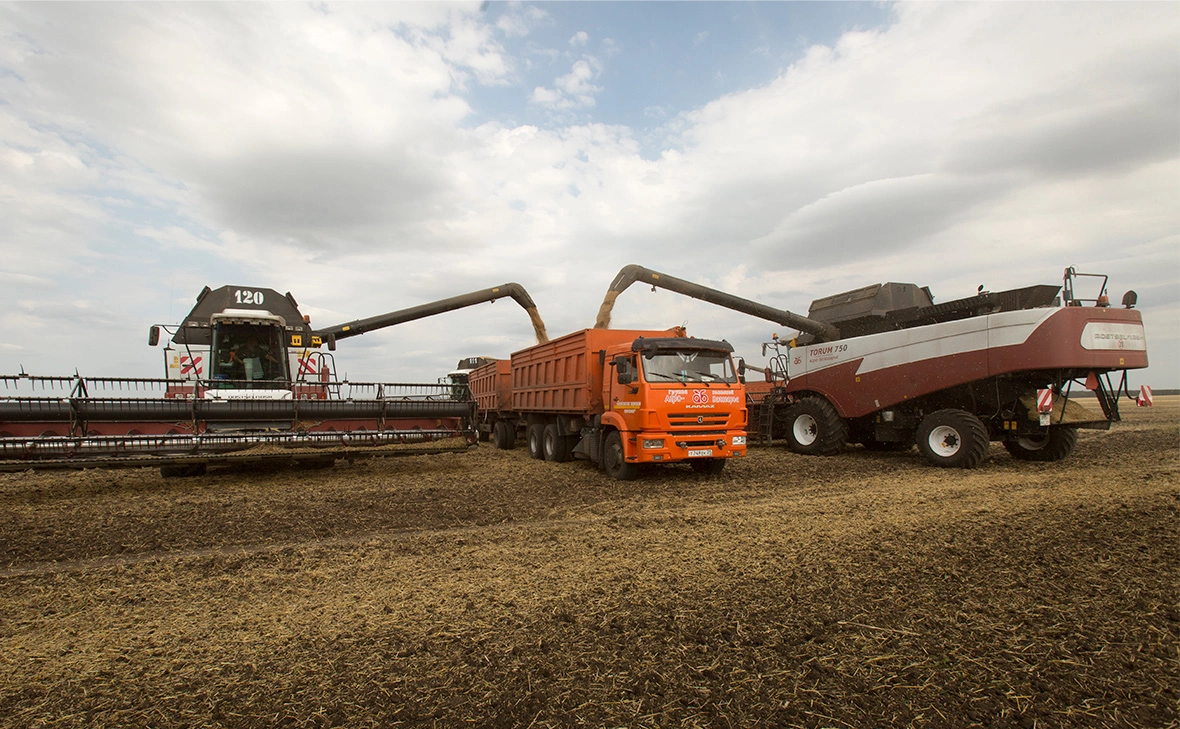 Николай Гынгазов / Global Look Press