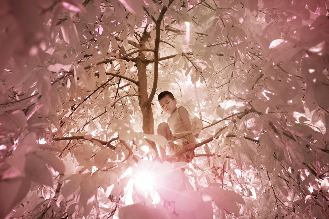 Кадр из фильма &laquo;Остров дальтоников&raquo;. Герой фильма, мальчик по имени Джейнард, забрался на дерево в саду, чтобы собрать фрукты и поиграть