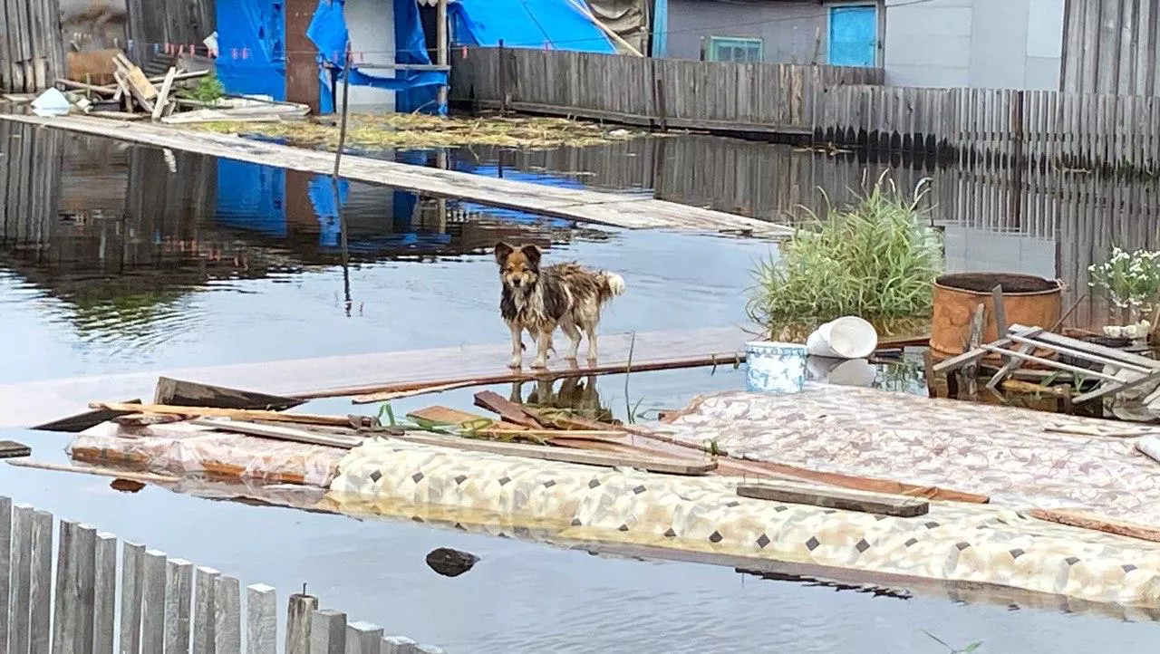 Министерство ГОЧС Приморья