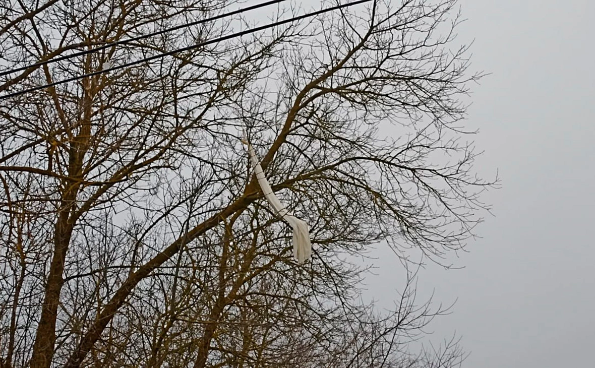 ryazpressa / Telegram