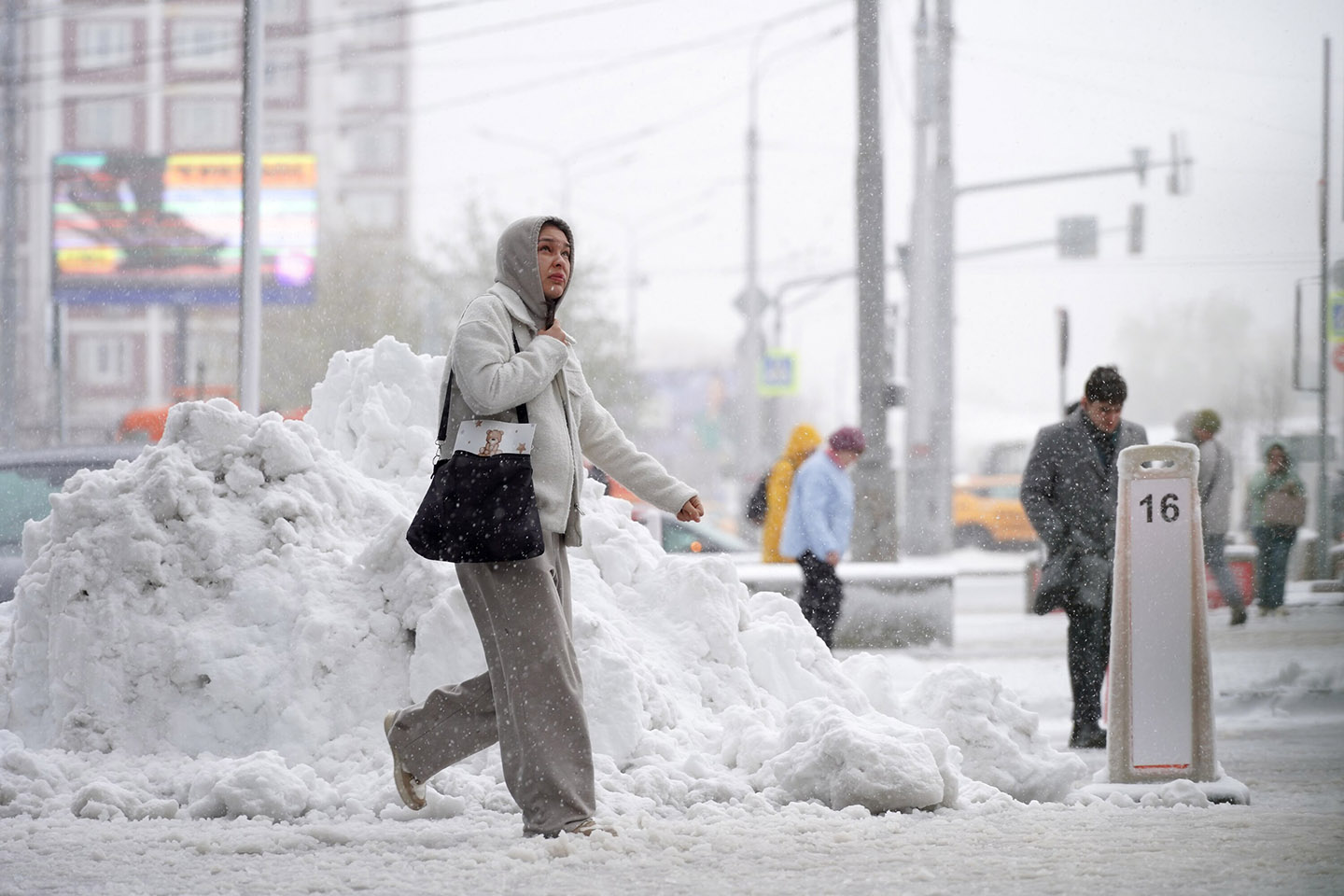 Фото: Александр Авилов / Агентство «Москва»