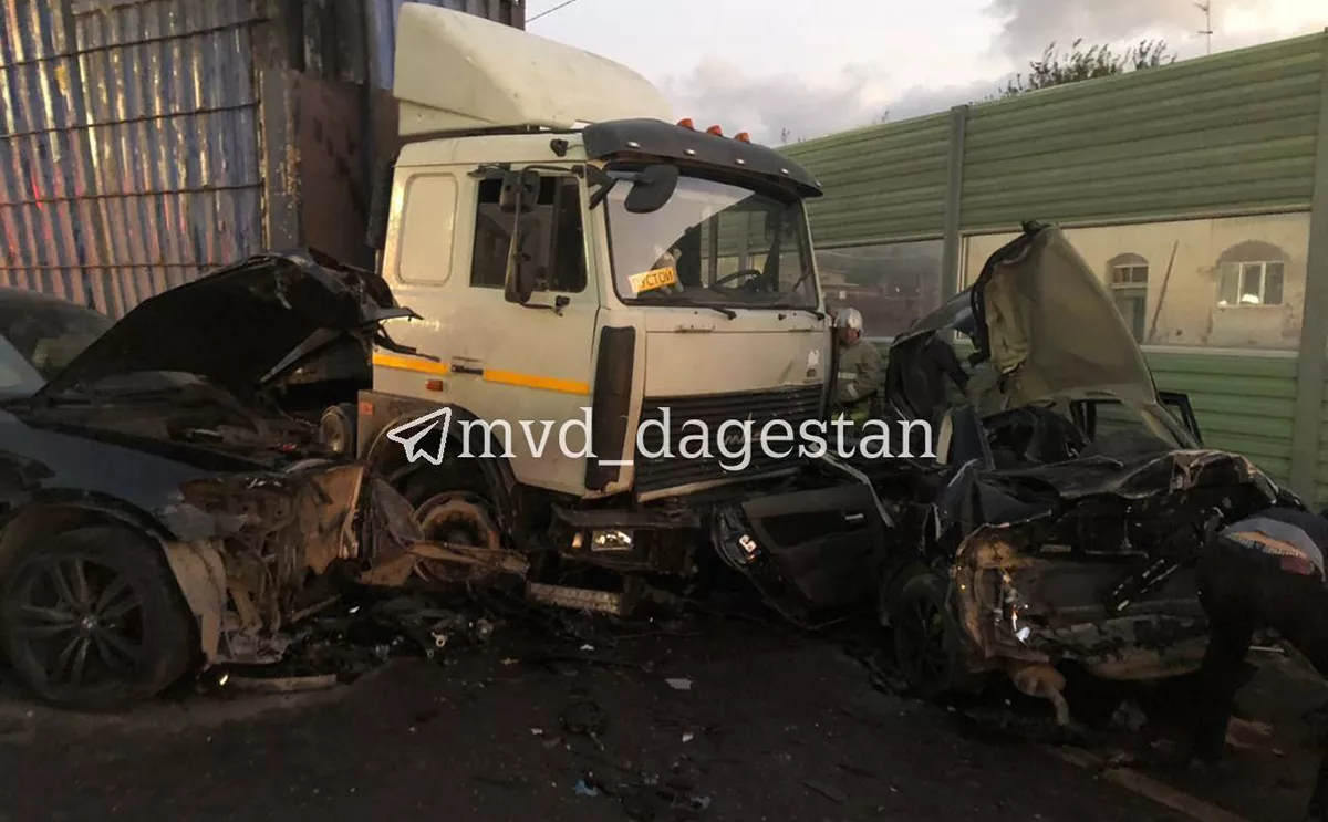 Mvd_dagestan / Telegram