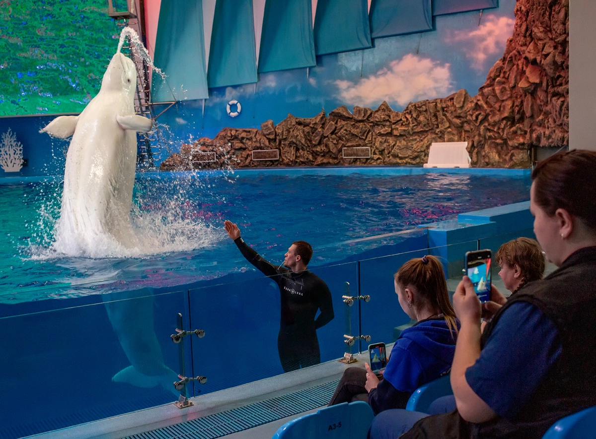 Приморский океанариум