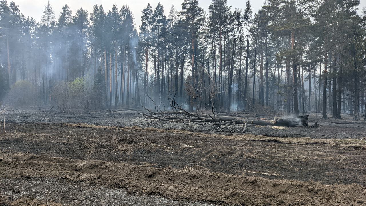 В Тюменской области 17 дествующих лесных пожаров.