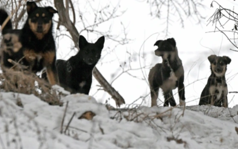 Илья Наймушин / РИА Новости