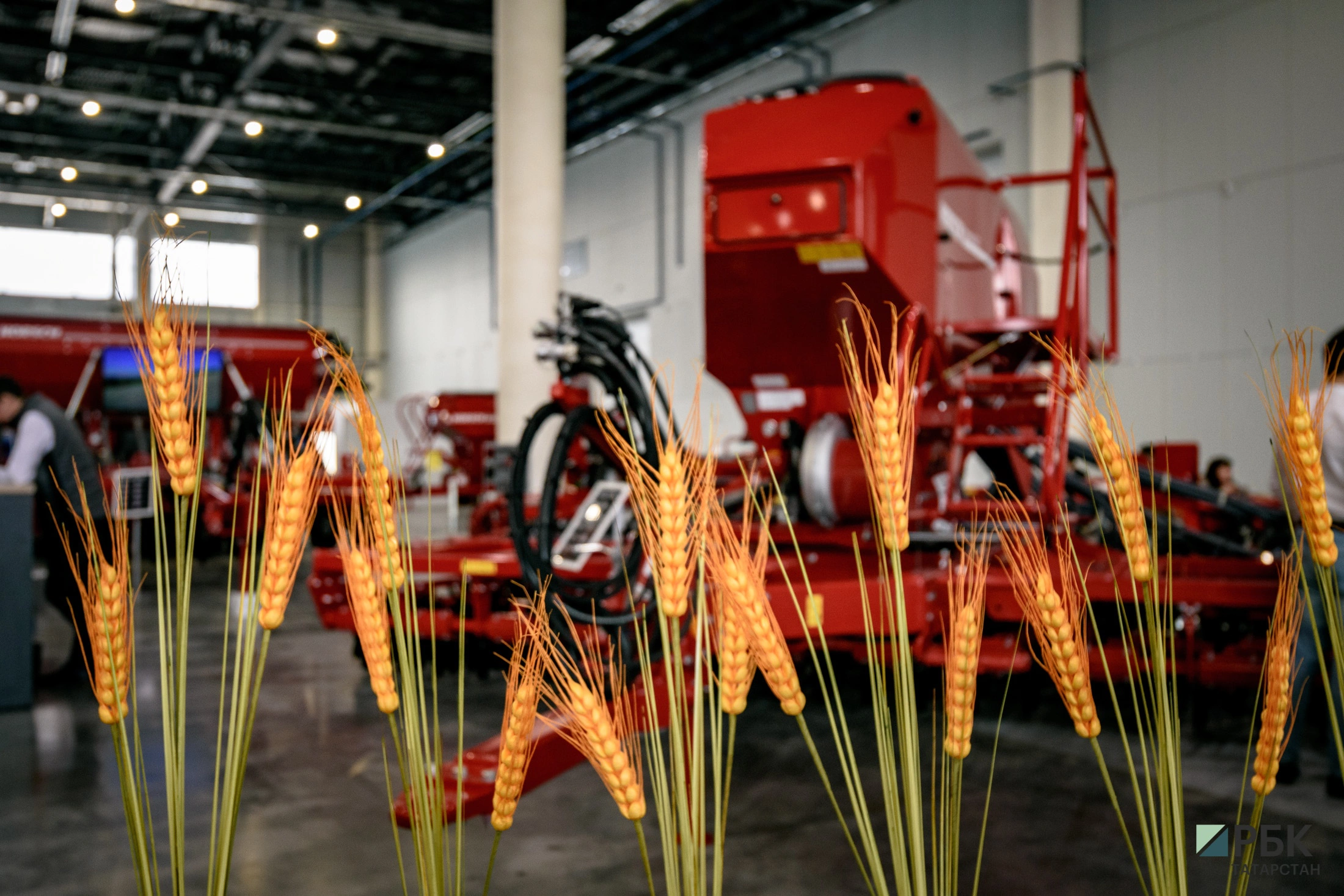 РБК Татарстан