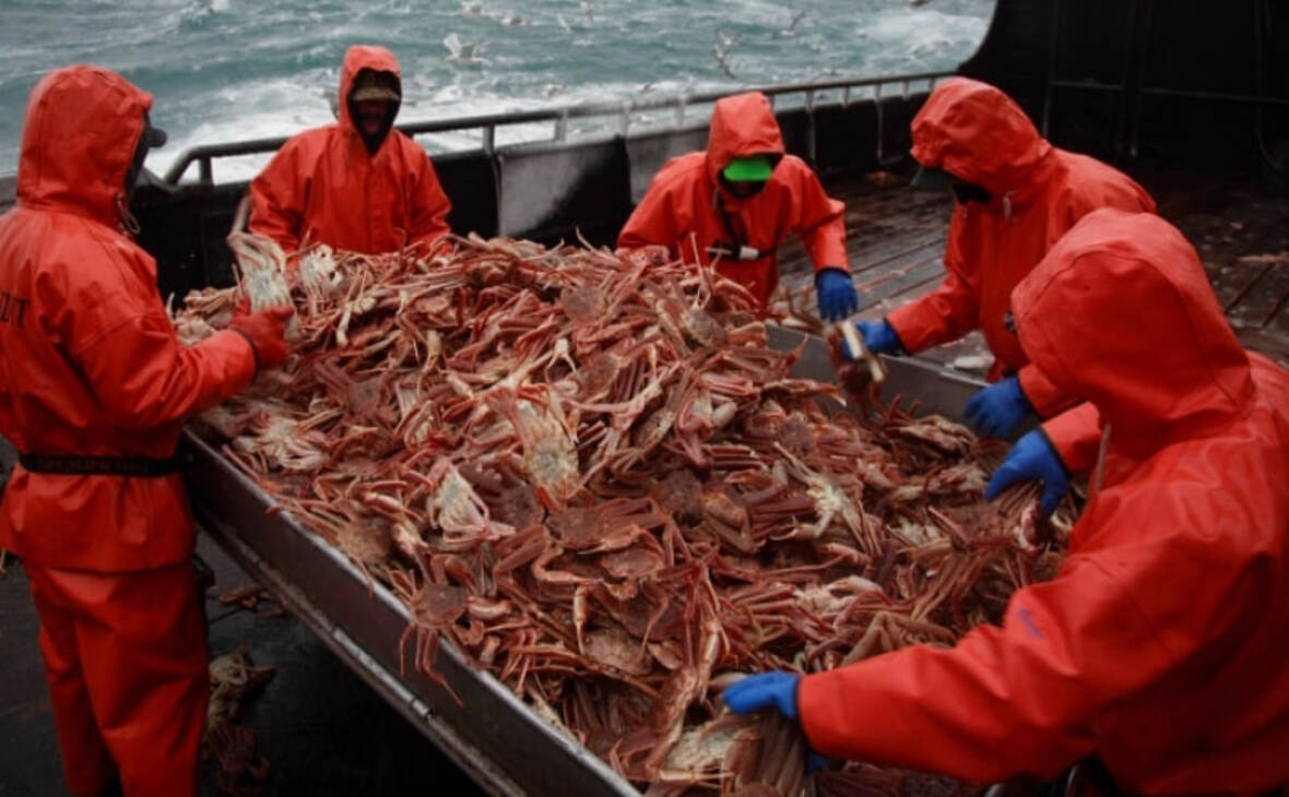 Фото: fish.gov.ru