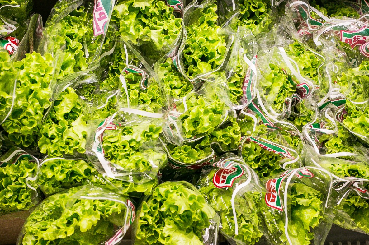 Фото: Денис Моргунов / URA.RU